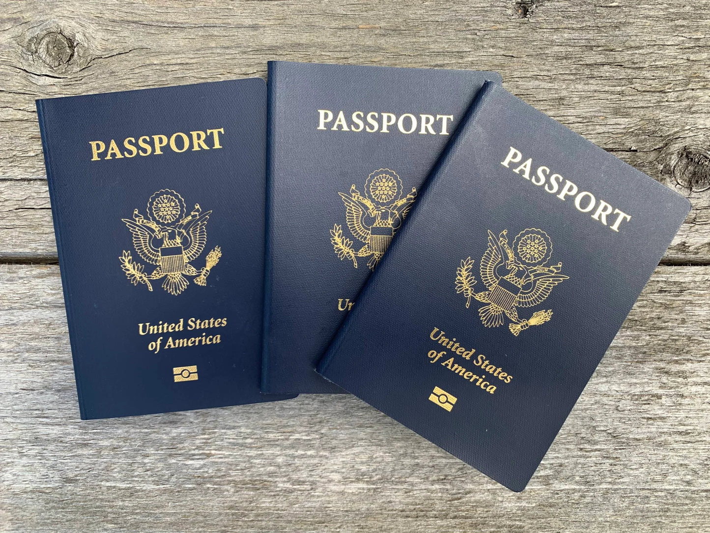 ScanNcall Passport QR Tag - Lost Passport Get it Back Instantly